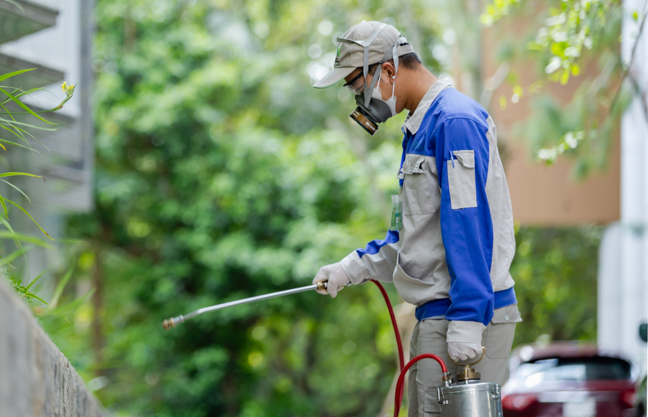 card image kiem soat ipmjpg